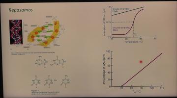 BCM 2024 2º Cuat. Acidos Nucleicos. Técnicas de ADN.