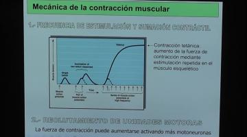 Fisiología 2025. Fisiología del músculo.