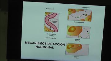 Fisiología 2025. Endocrinología General.