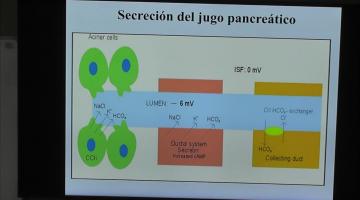 Fisiología 2025. Sistema Digestivo.