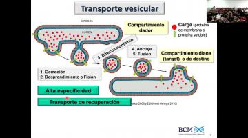 BCM 2025. Tráfico vesicular 1ra. parte.