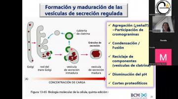 BCM 2025. Tráfico vesicular 2da. parte.
