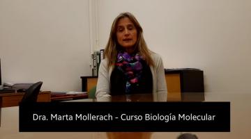 Curso de Actualización: Biología molecular aplicada al laboratorio de bacteriología clínica (teórico-práctico)