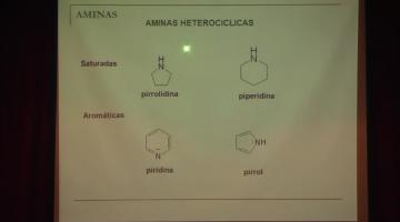 Química Orgánica I 2015 21 de Octubre Acidez y Basicidad (II) Aminas.