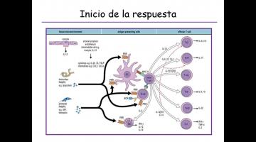 InmunologiaClase teorica 7 parte 2