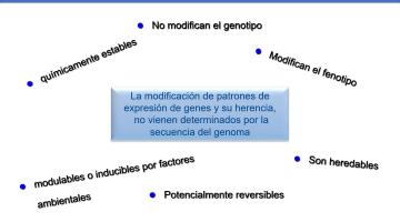 Genética Molecular 2020. Epigenética (1° parte).