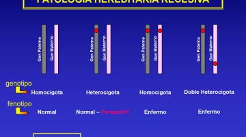 Genética y Genómica Farmacéuticas 2021. Patología y Diagnóstico Molecular.