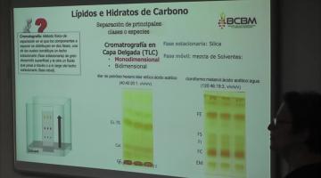 BCM. Hidratos de Carbono.