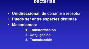Sistemas Bacterianos y Virales.