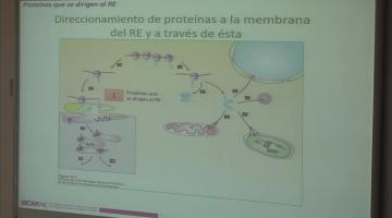 BCM. Direccionamiento de Proteínas.